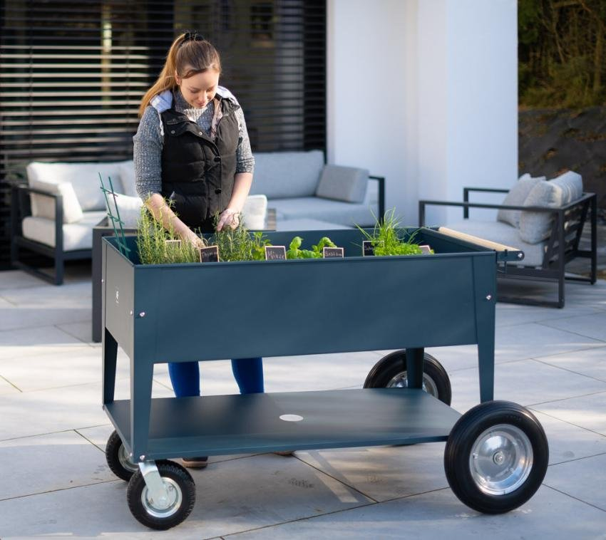 80be43a73461f3b6d1f8b9db91385037