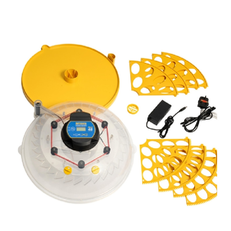 83076355d856619e8a760fd9b6f232c6