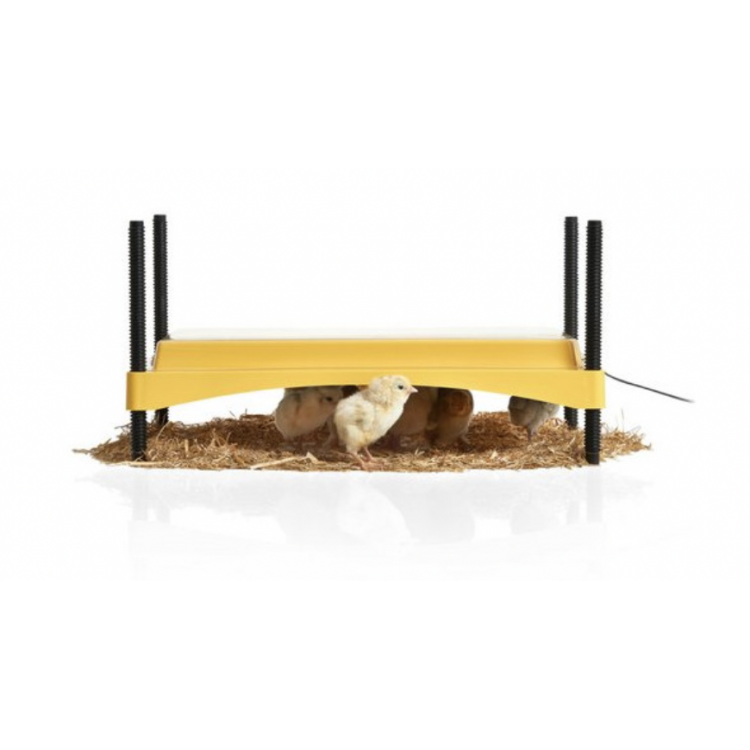 835ca7cd02e97a50a74545bf11451c79