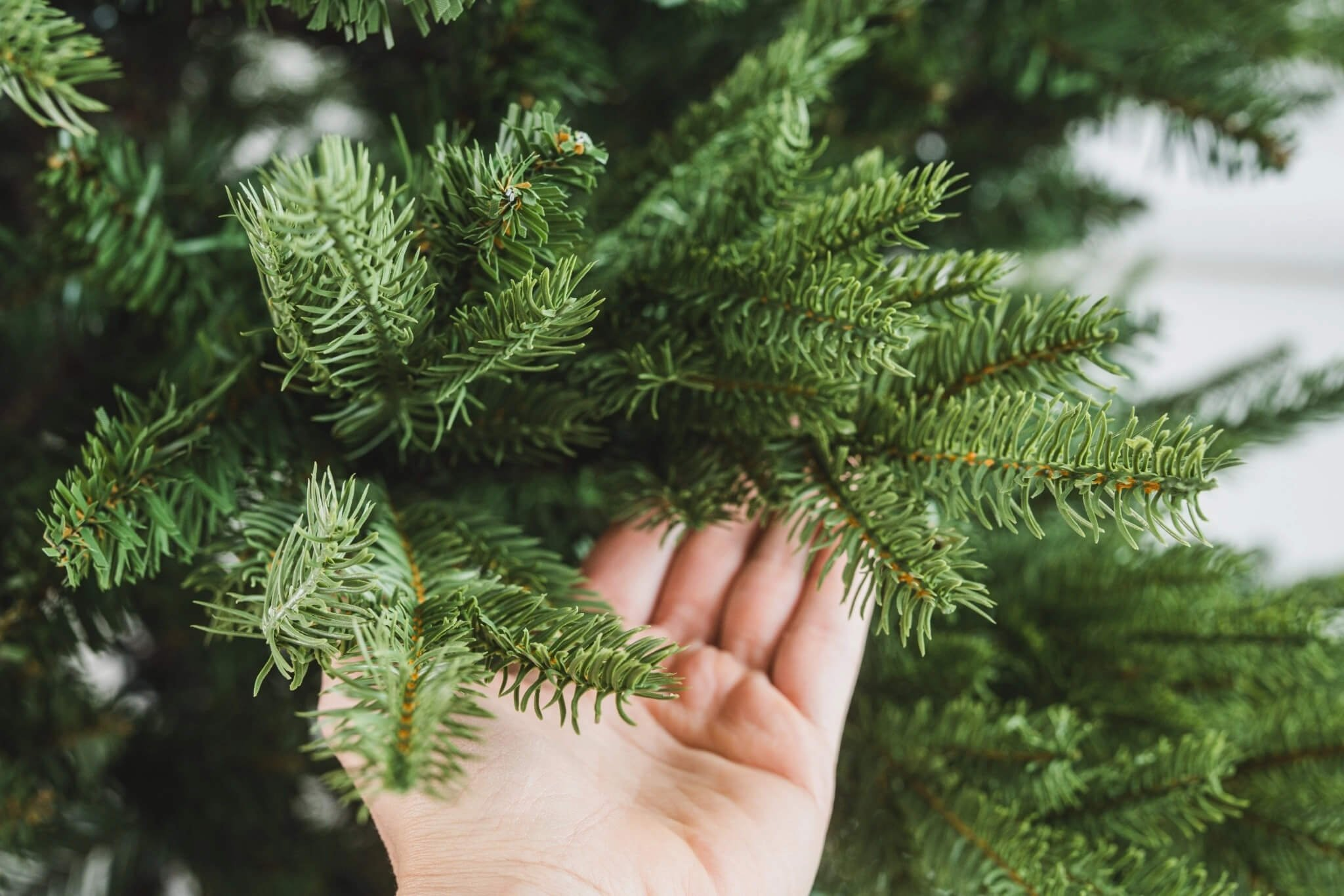 851a76edb3bcf18afb78e3daf5a00232