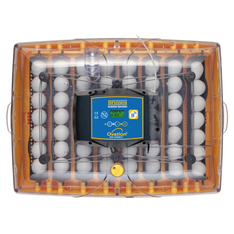 85f0f162e780b5d01f9a0a6a10b5c1d0