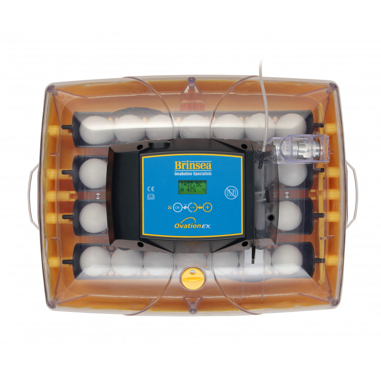 8600e80ccf176f627d879ecf1ea8050a