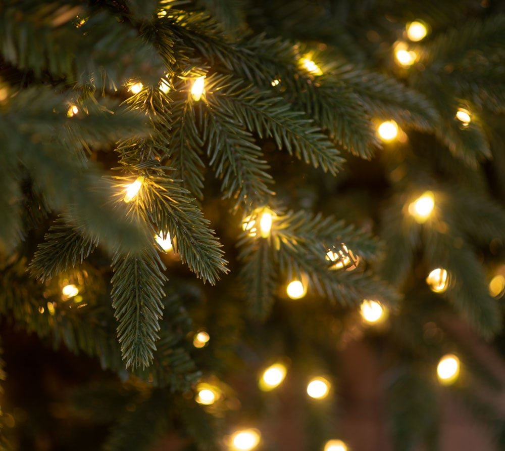 876d801cbaabe982989718dd19bba799