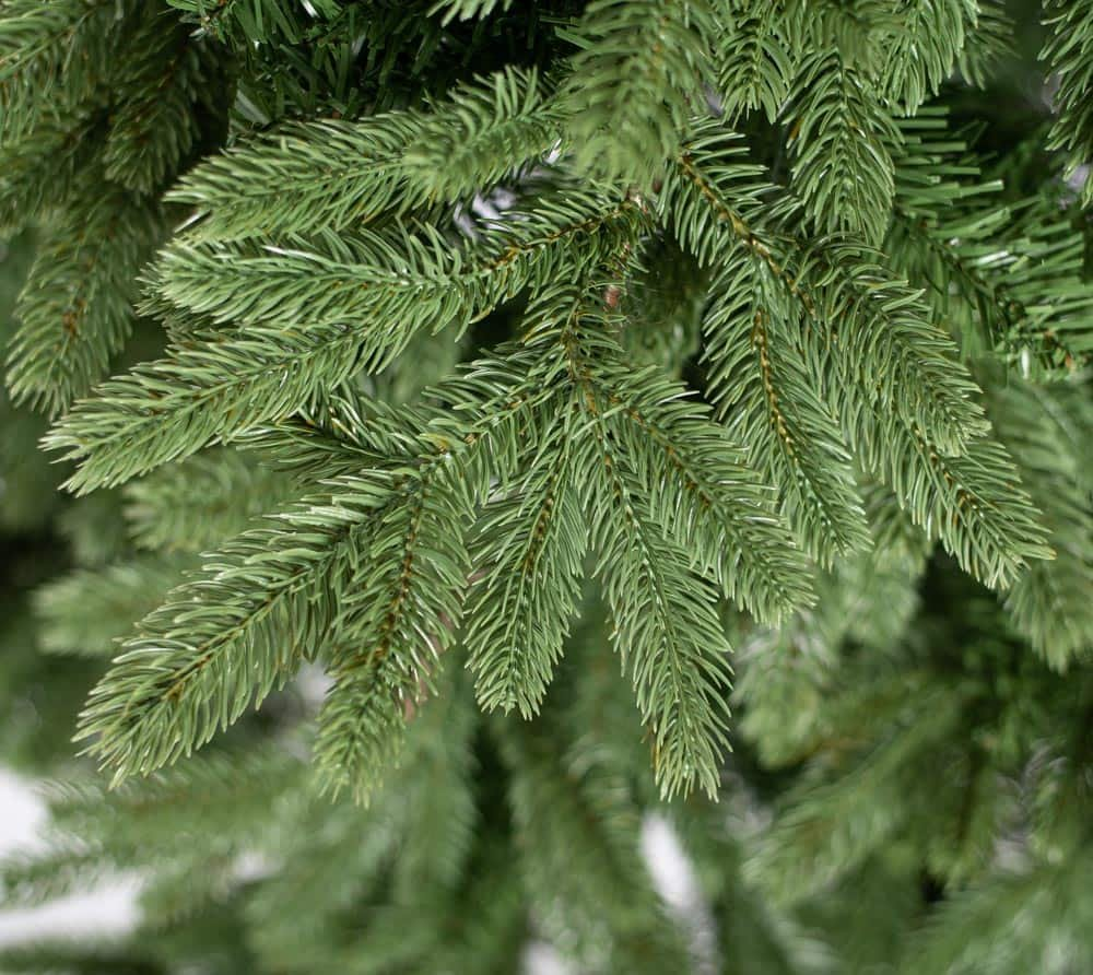 89aabe4466b5db1b84708cc42efd8840