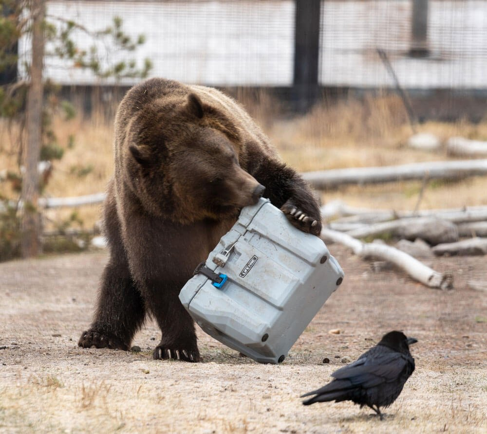 8a0a257a34f7f266d2f129b6cbe4d32e