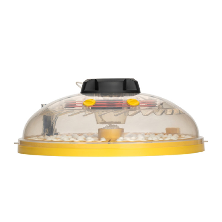 8c402cf27fd437365db2f5b574327ab2