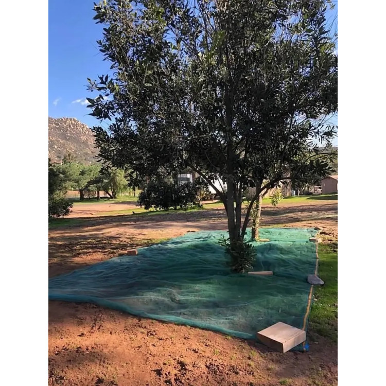 8c4094019754a174f235f2a7075882ed