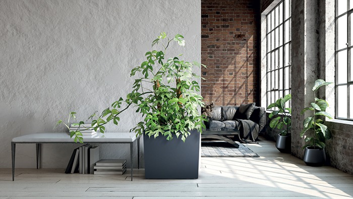 8d3ff49f6fb5d7a656b0bebaf0759c44