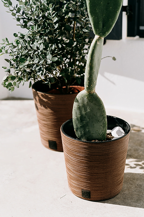 8de33e9a04c6ee40e4d3aafacd5dc434.img