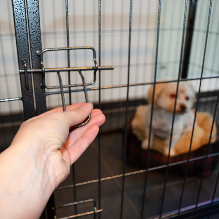 8eee14b4ff2a8303a3fe59e43ca7a1e8