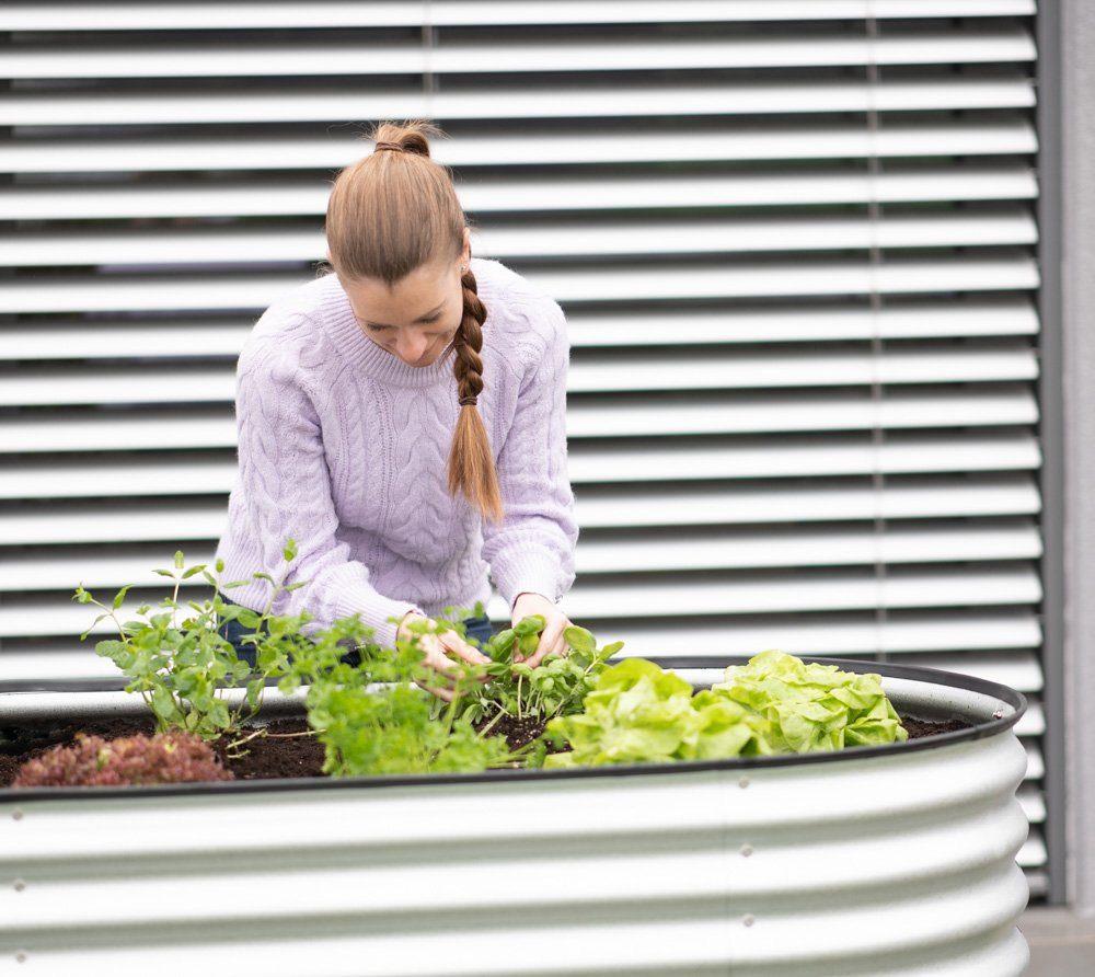 8f5b8caf26233b9bcc5ab85ded7257a4