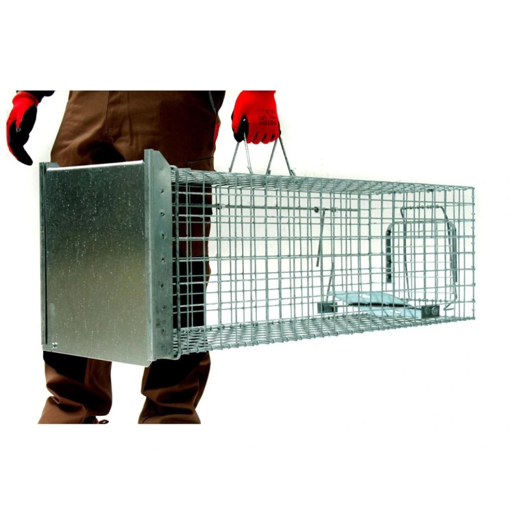 90242a97ec24c95cf9e00f04159f995e