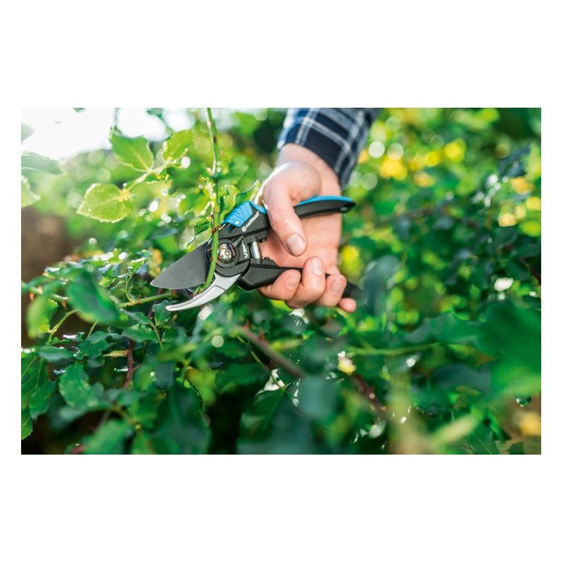 91ec41a140a9631eae4f3877e2ebfa72