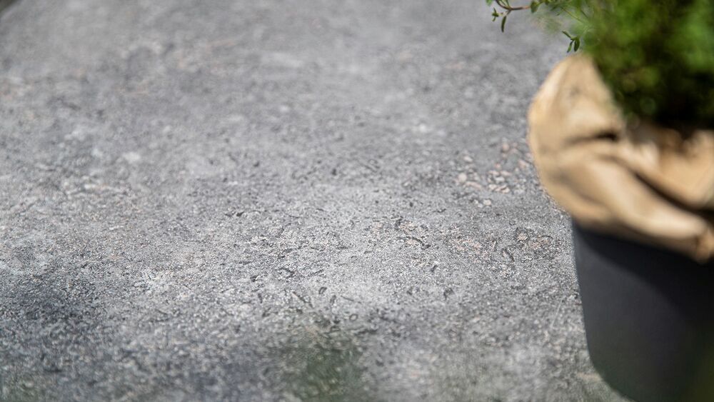 91fa6ecf29ff0ca4ea4cbe266399bdd2