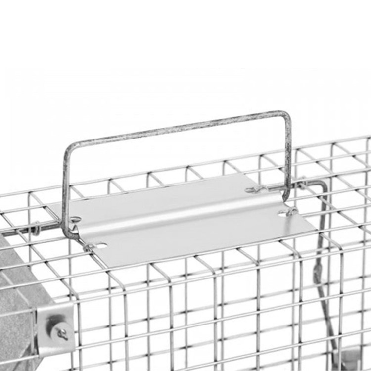 927ea55d86c623d089c33455ed3dd730