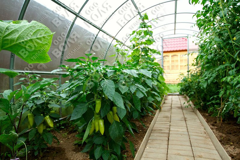 956087176d2b68d26a9089627d0126c0