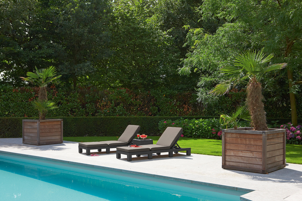 961cc552afa44e4d9c46bd716967ed86