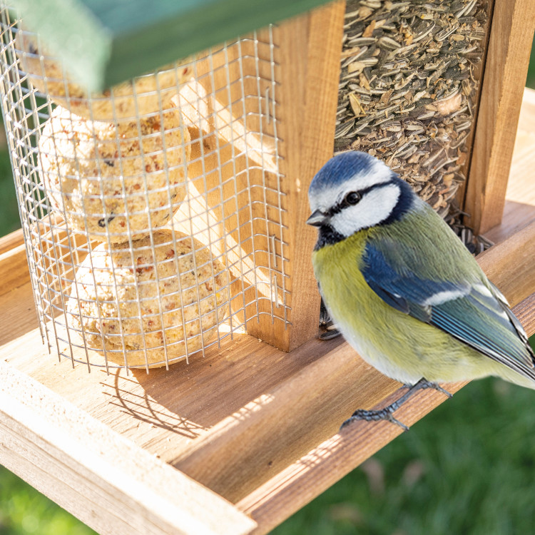 9723d7ae6c981803a2b2c373d4098fbf