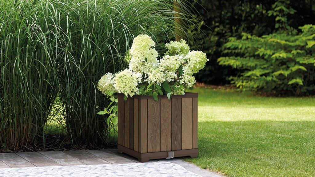 9783ffe130508f5ab8f1d23dd40848cd.img