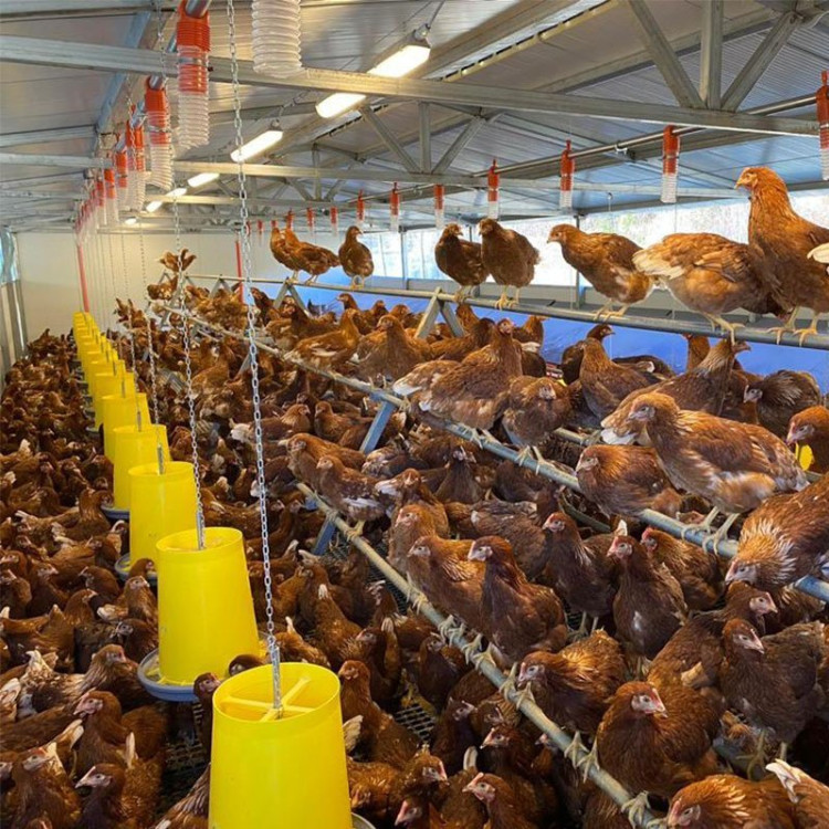 9908caad9a1e0c3164d66db23b740df7