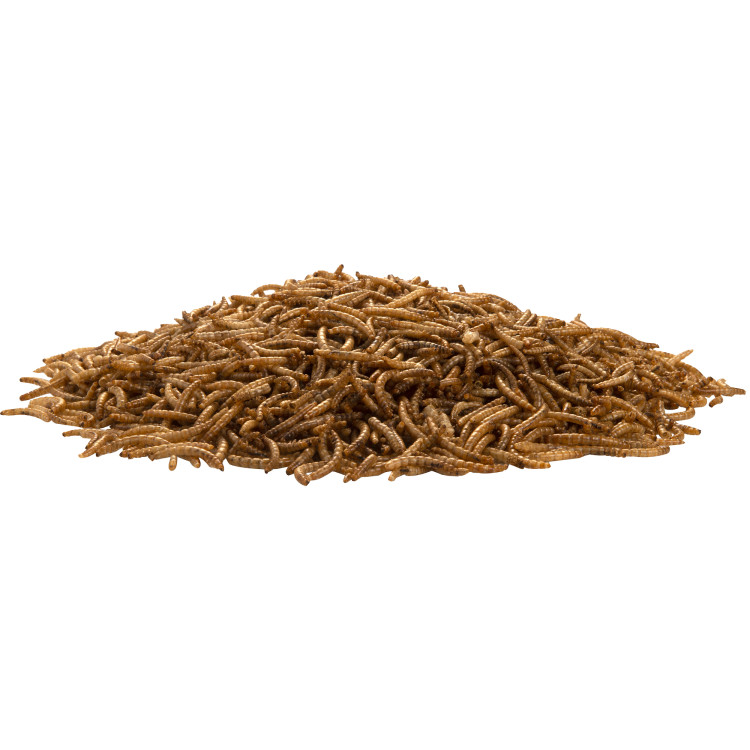 99d398910ec14eac791d5a1e75bbdae0