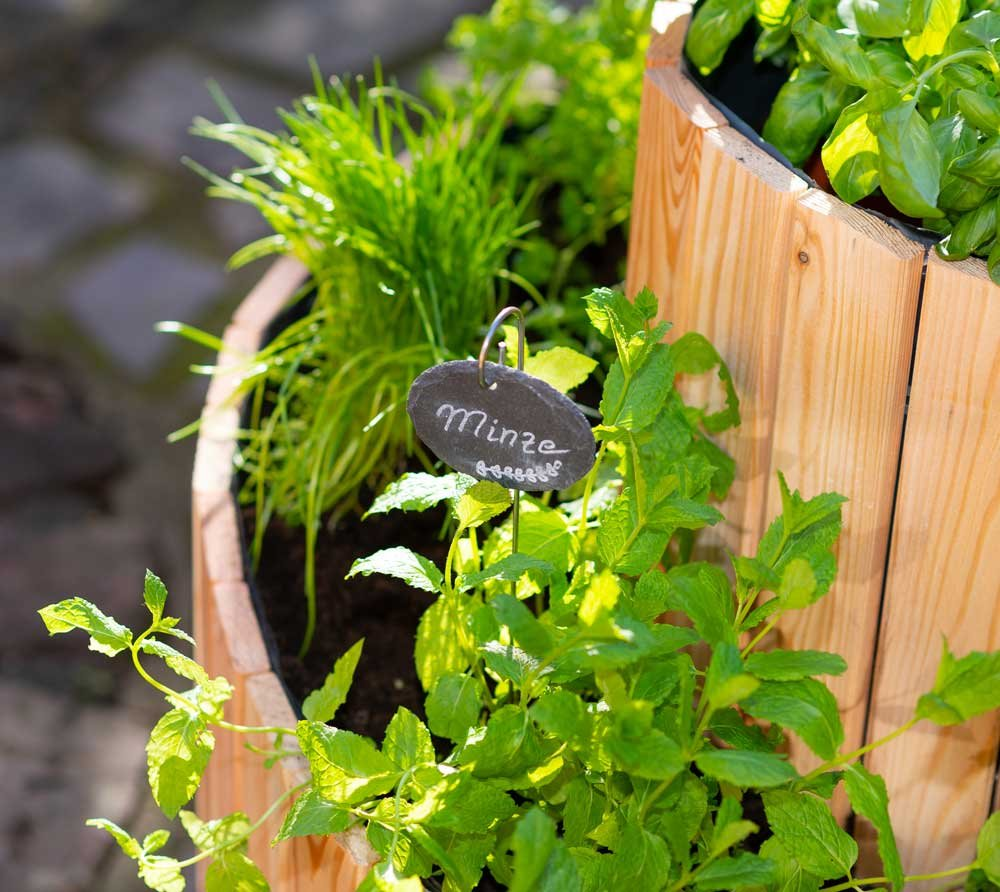 9cb81ef3e12828f56415deed3cb4e772