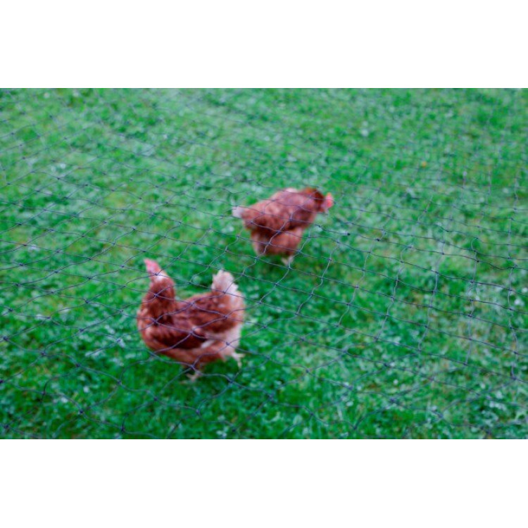 9cdd4a95b03f5fff1d472fbbe66aad89