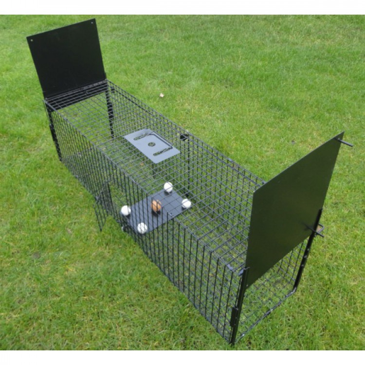 9efe90eb5bf214df7ec15ffdf780ee7d