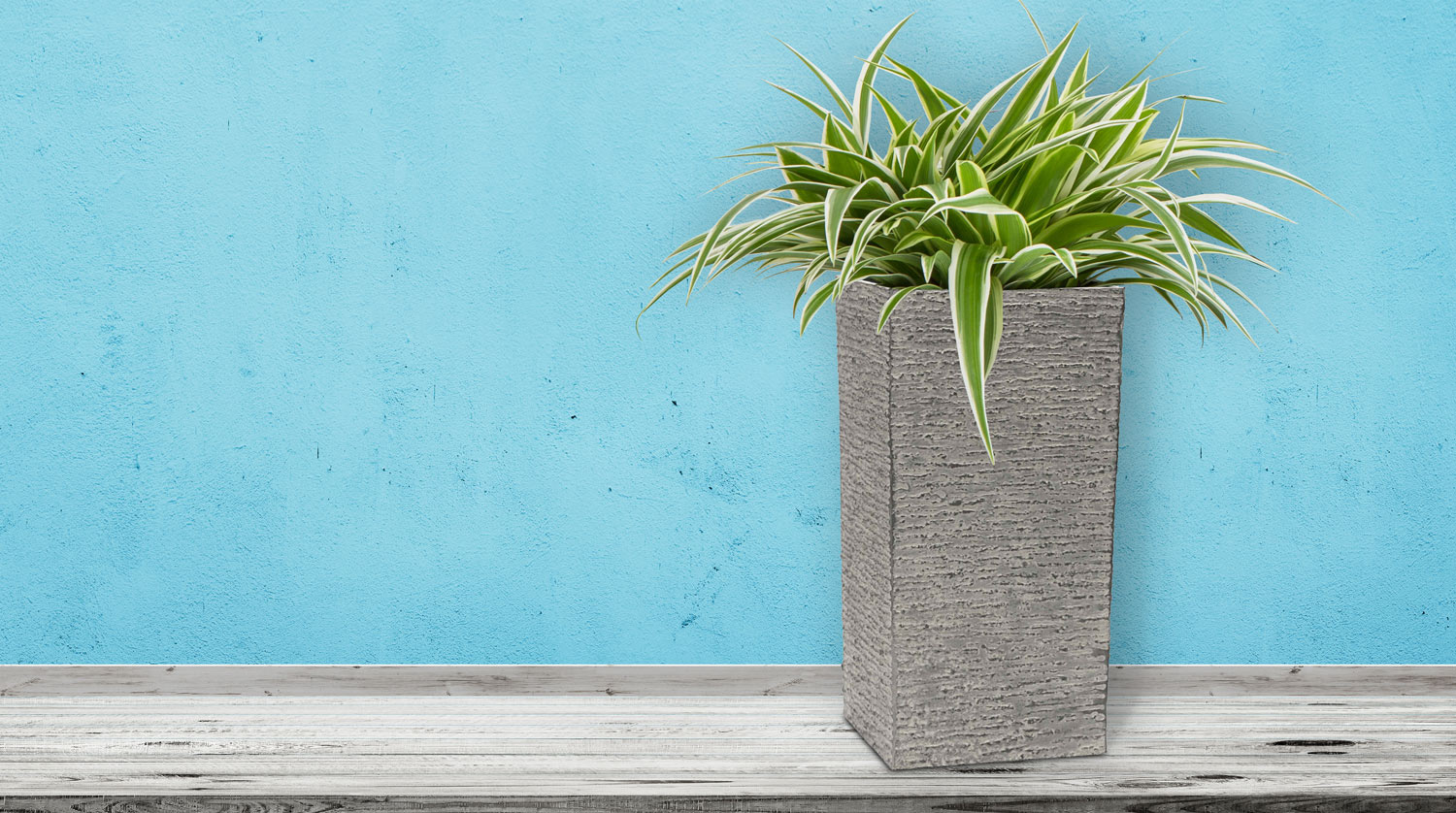 9fed1792744ea4d3d19731d32fc3990b.img