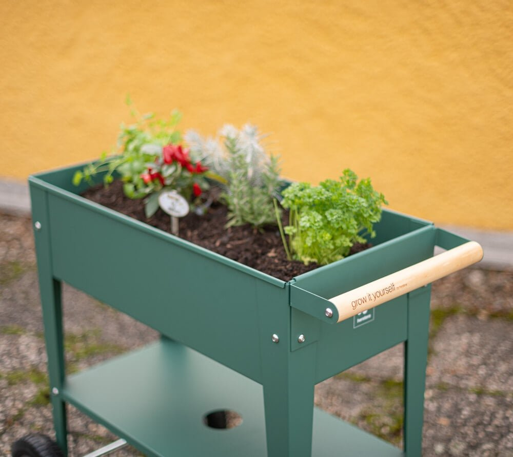 a06c0f7ca84ab8d7bb3a2fbf7f897f31