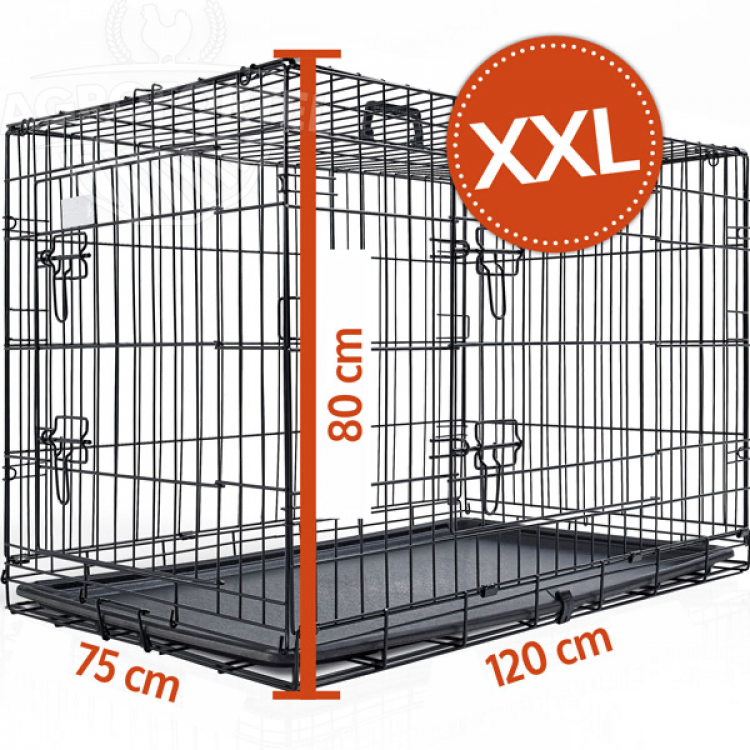 a15b4edb6f37f78932a1852242dc4824