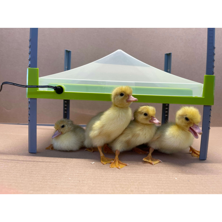 a3612bfaac6ec74e4fc7adf872a2e35d