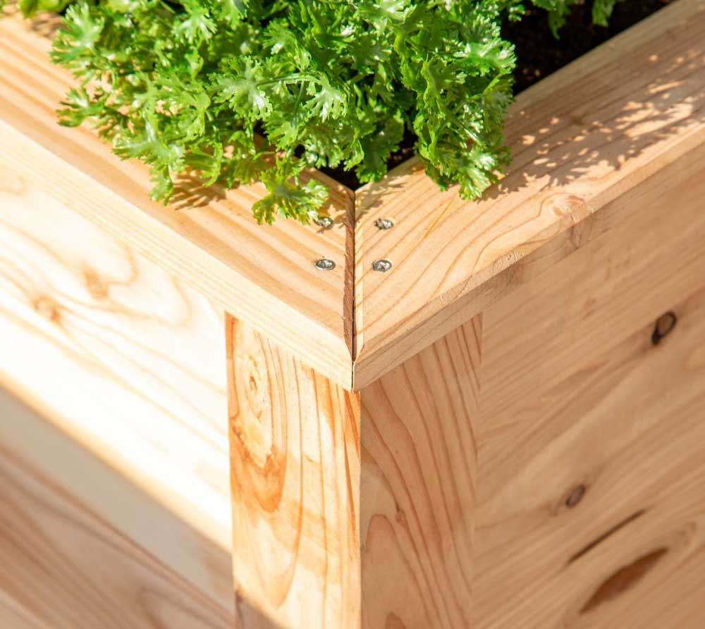 a6139f57bd431d9625e12d39679d4089