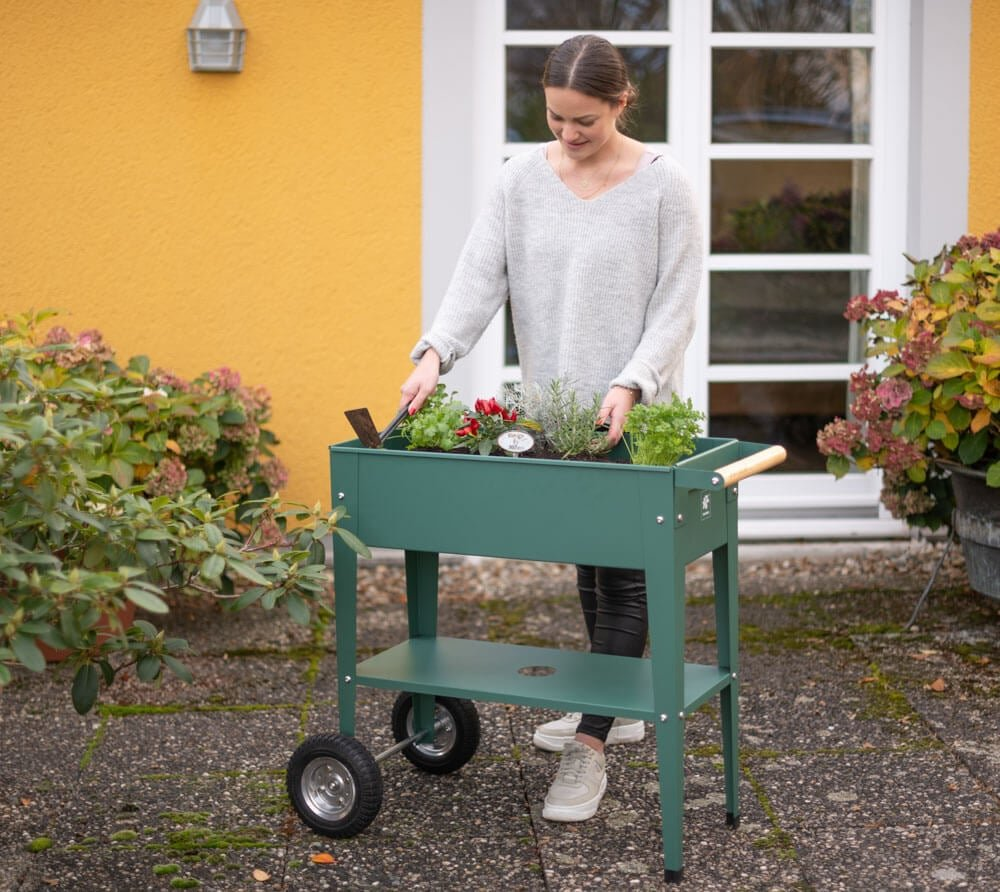 a6bca4fc46151754520d8397ecef2379