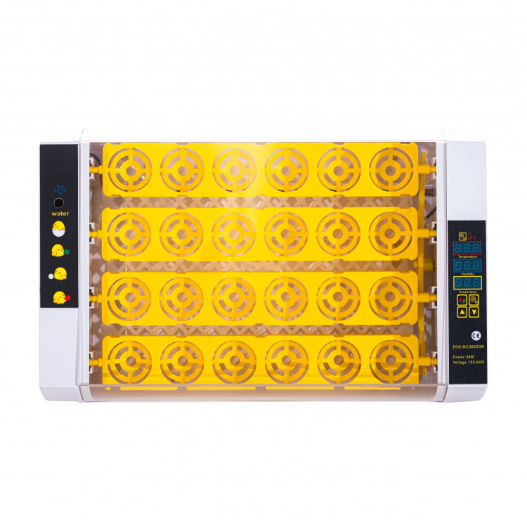 a7b75ae42b9e810c8e2404168cc7848d