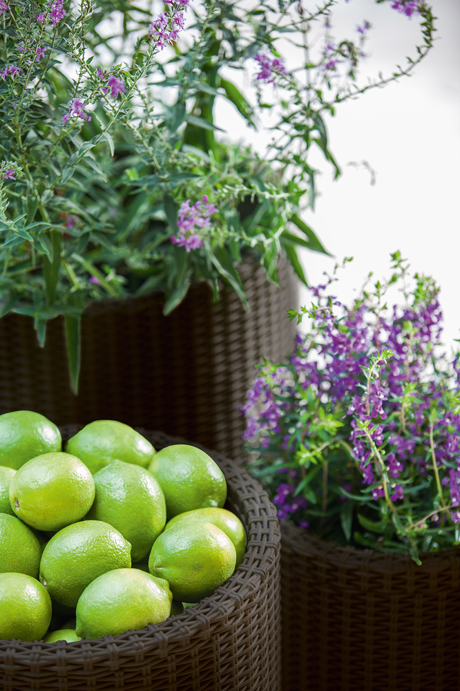 a99fb11ae98312892b613448683a5982