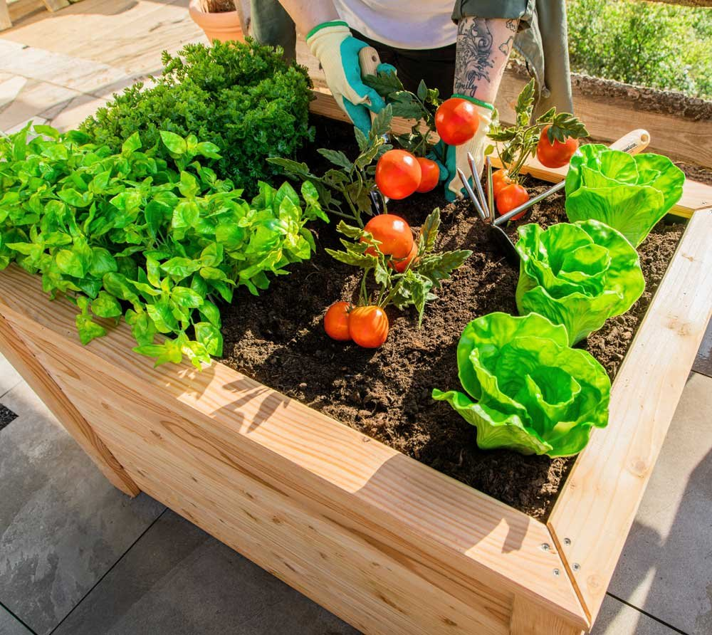 aa4956481db1518cd3b0818268291952