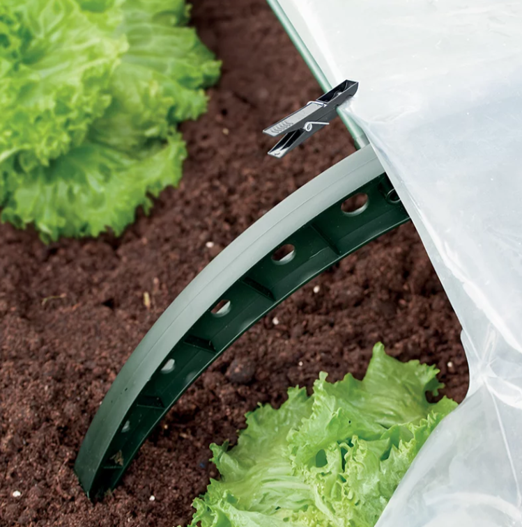 ab606c531487889b4683ed19d4619eb2