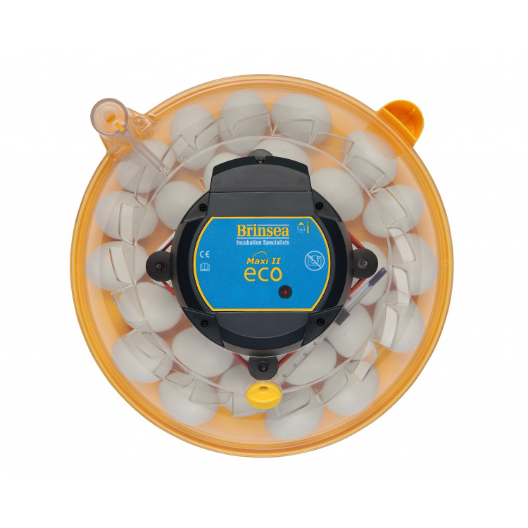 acb27d39b474107c796c2909a9123641