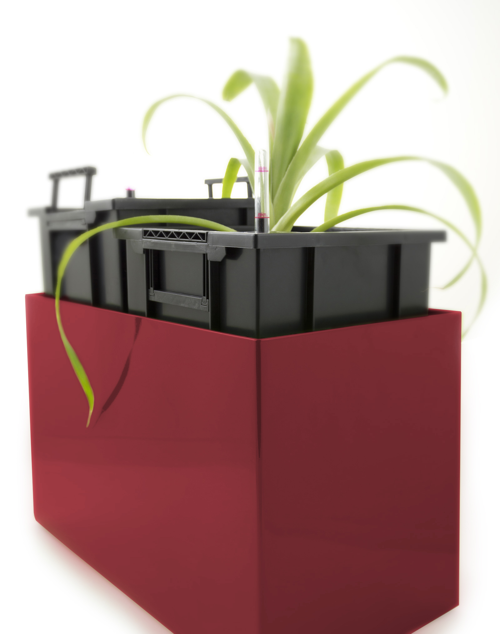 ae4a6b483c970dd33d11973c2d46c5e0.img