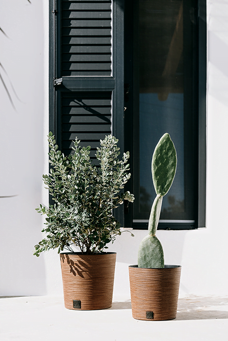 b17dca8647ea59d18b6ded70eeb725ea