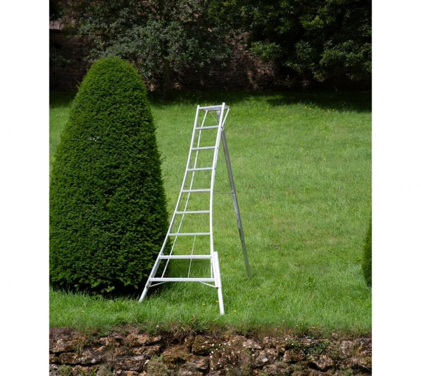 b344c96385841d60277ee986da2eae69