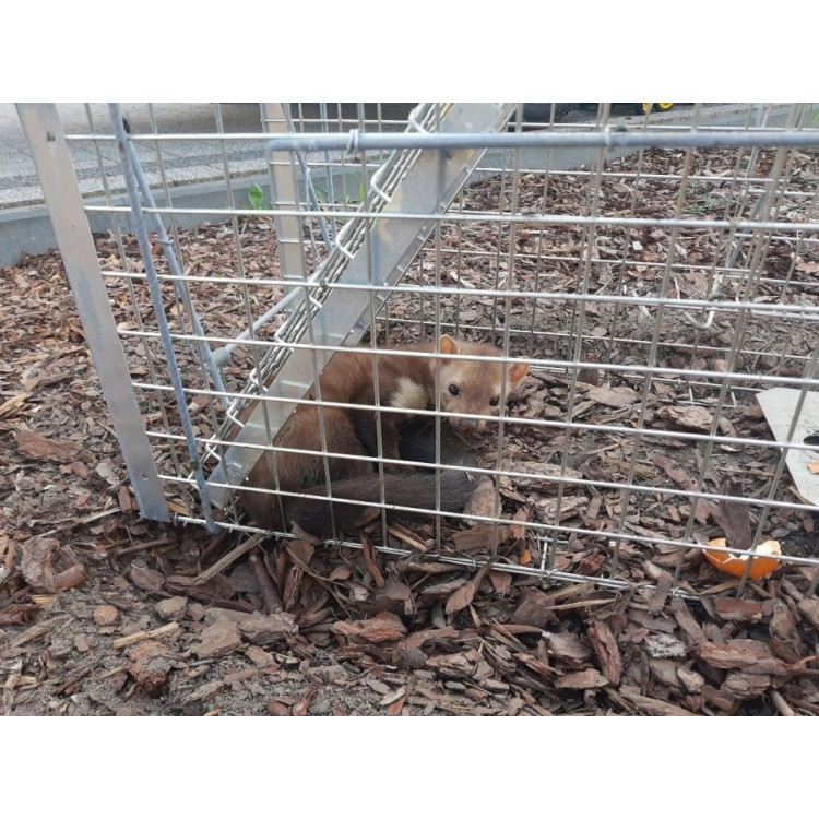 b4b3107659f9fd4b40db93c3140ae851