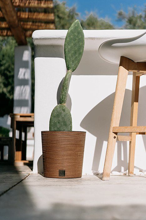 b65bec34bc063bf329f6a2afad2d8066