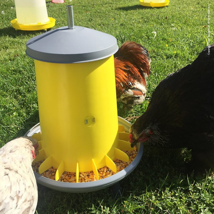 b70f025c815a2de3e8cabe8054c0256b