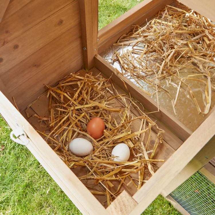 b92e9ffd74465a5f4758b60b48b7f6c0