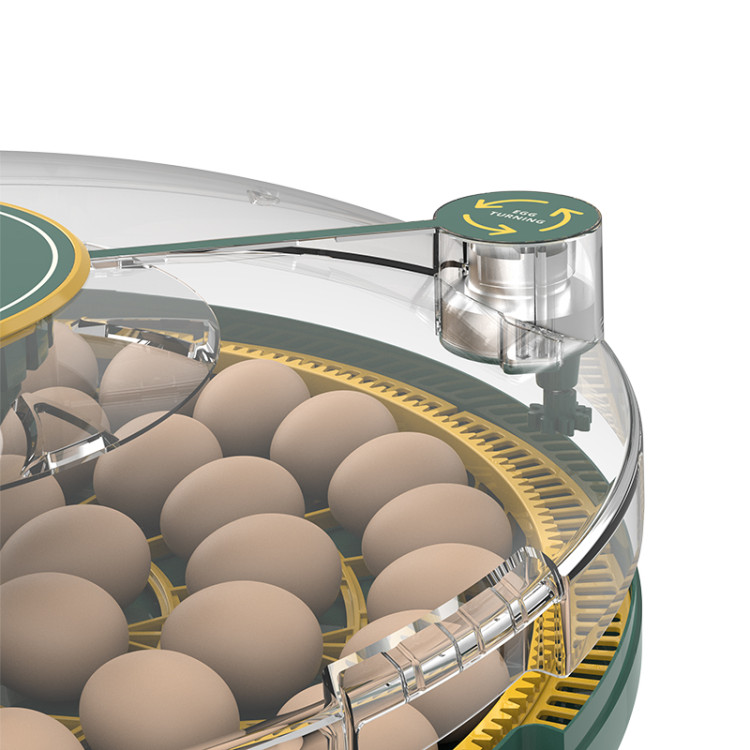 ba2604af7b5df4d64529506242d37554