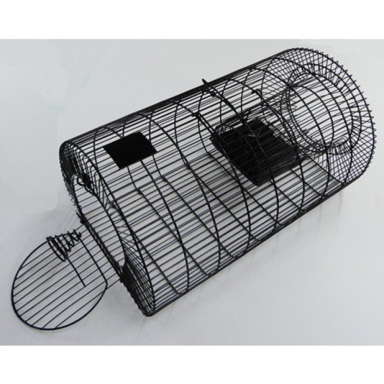 baf407bf47a6ee5c22905d39f6bdfc83