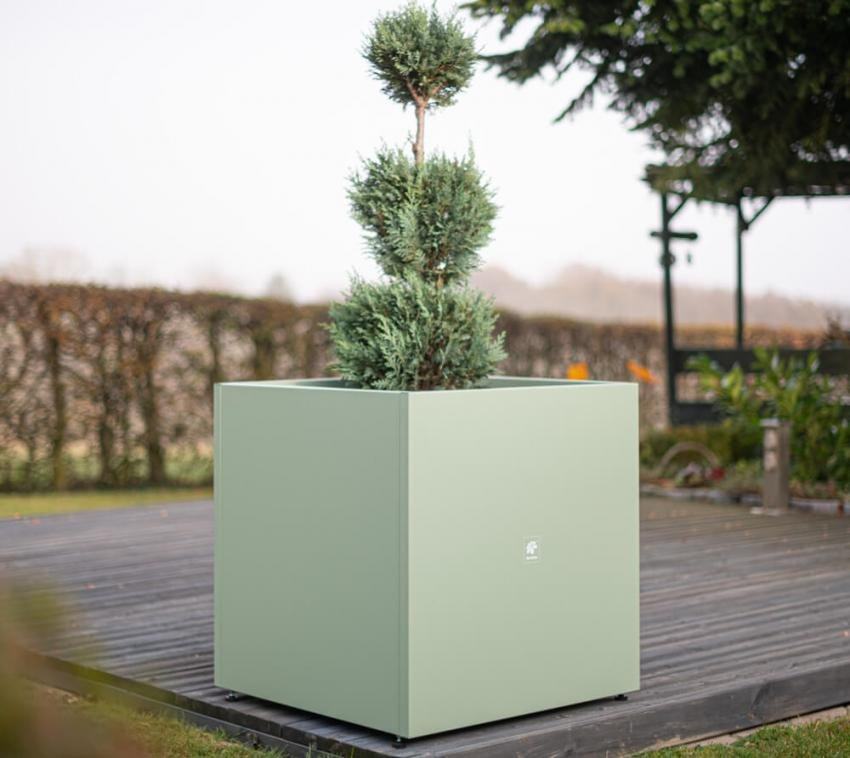 bb5e221c224e837d85811b8172fd6255