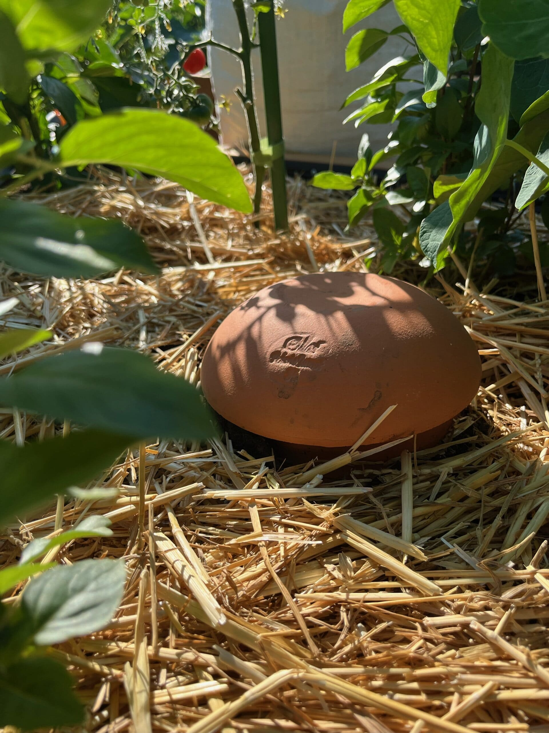 bbfa77ff637d863e63e66cdb91c98352